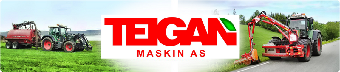Logo, Teigan Maskin AS